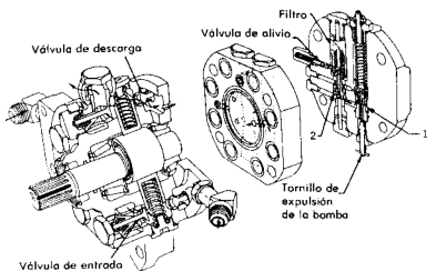 radial